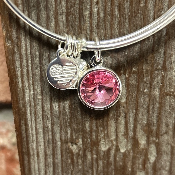 Alex & Ani Bangle Bar Pink Tourmaline October Birthstone Bangle Bracelet - Picture 4 of 14